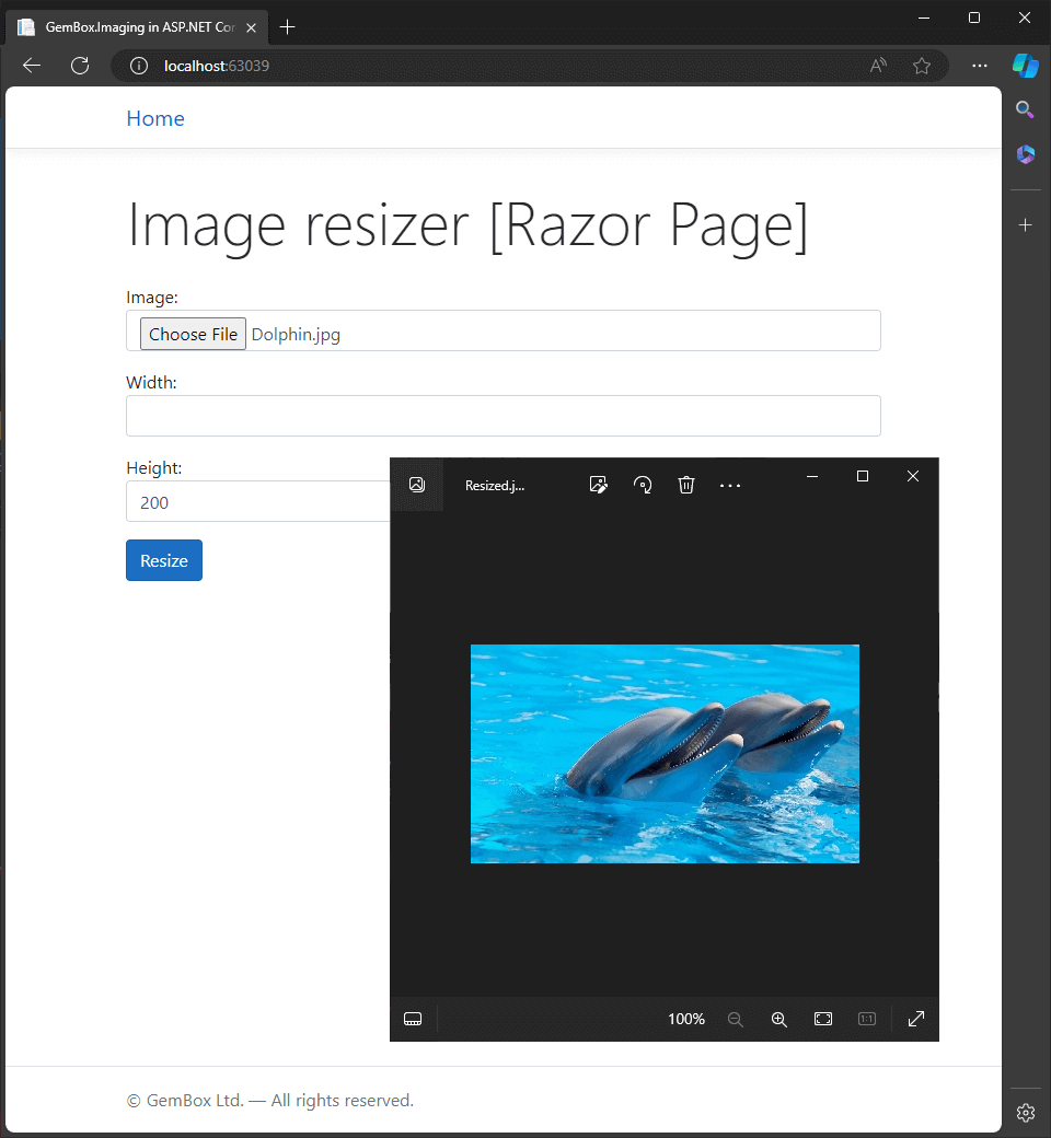 Resizing image file in ASP.NET Core MVC application