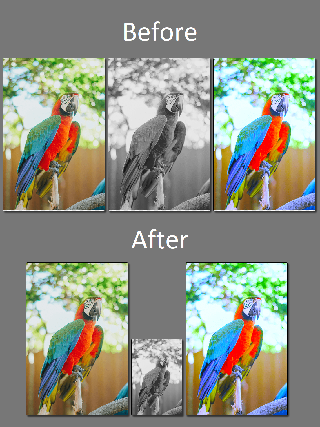 Image frames before and after resizing a single frame using GemBox.Imaging