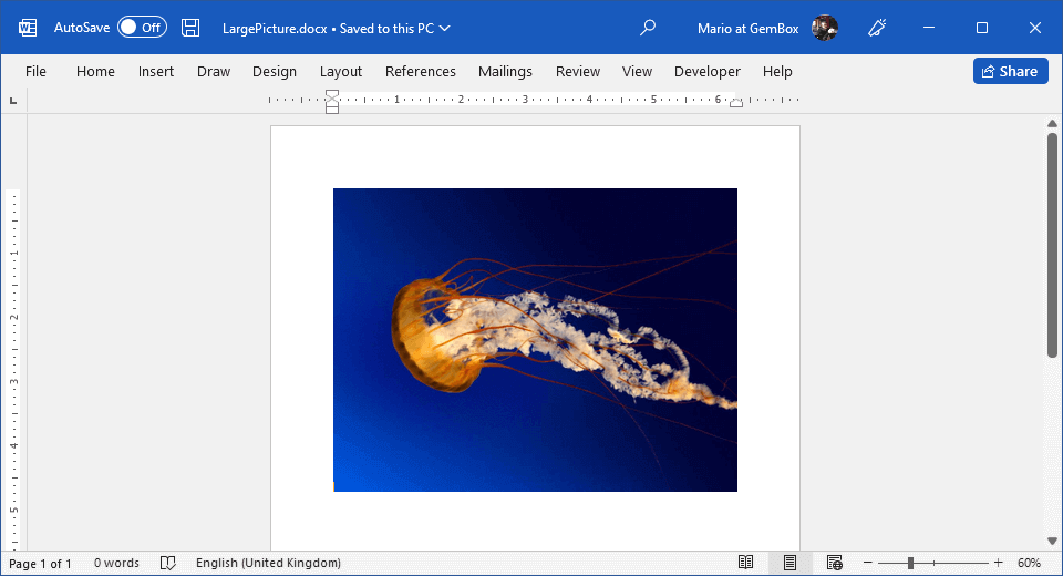 Word document with large picture that is resized to fit the page