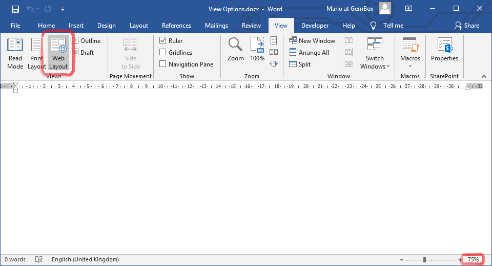Word document with set view options like zoom