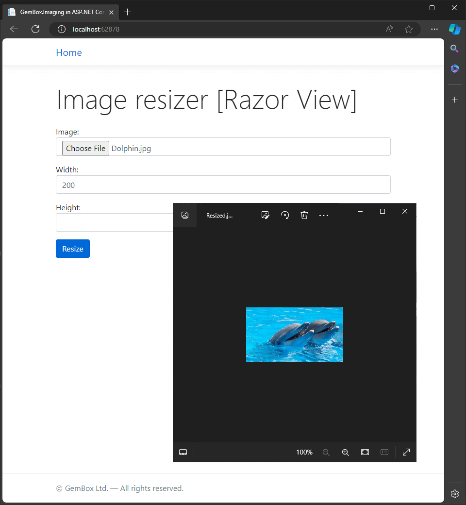 Screenshot of submitted web form and resized image file Resizing image file in ASP.NET Core MVC application