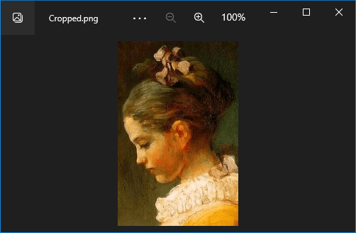 Cropping an image file Image file which is cropped using GemBox.Imaging