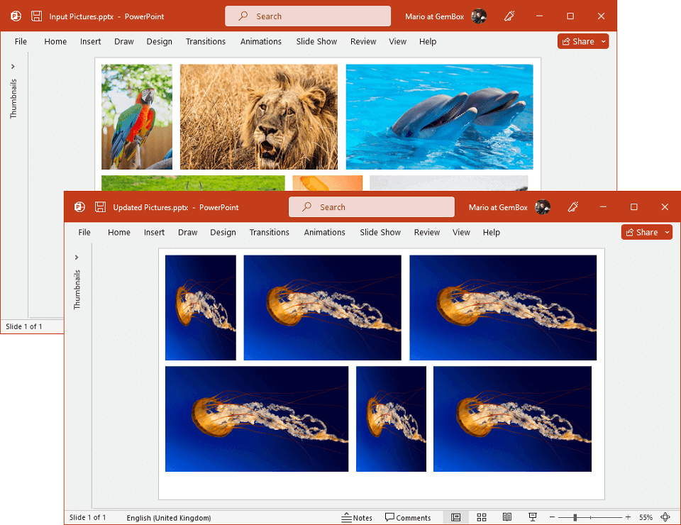 PowerPoint pictures updated with GemBox.Presentation