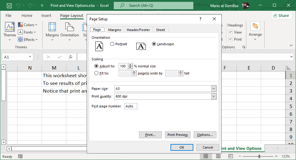 Excel print and view options set with GemBox.Spreadsheet
