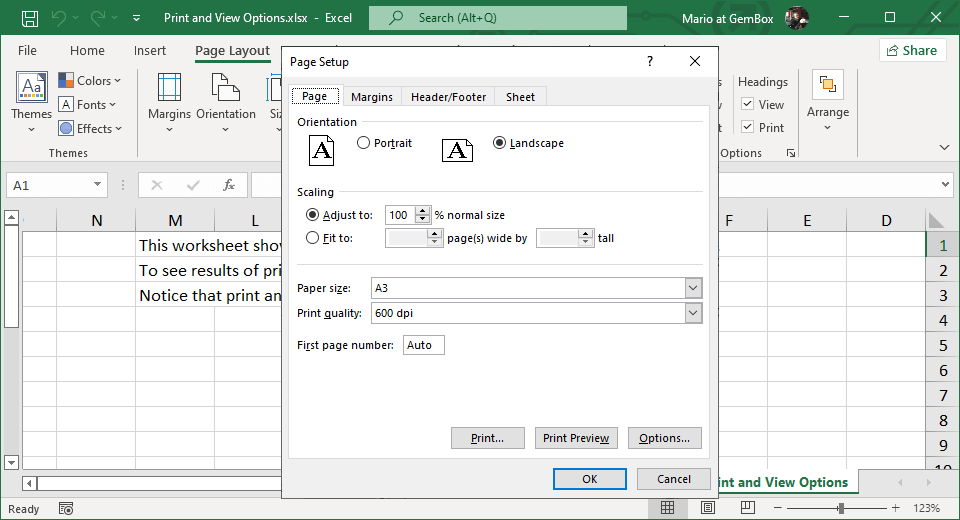 Screenshot of Excel print and view options set with GemBox.Spreadsheet Excel print and view options set with GemBox.Spreadsheet