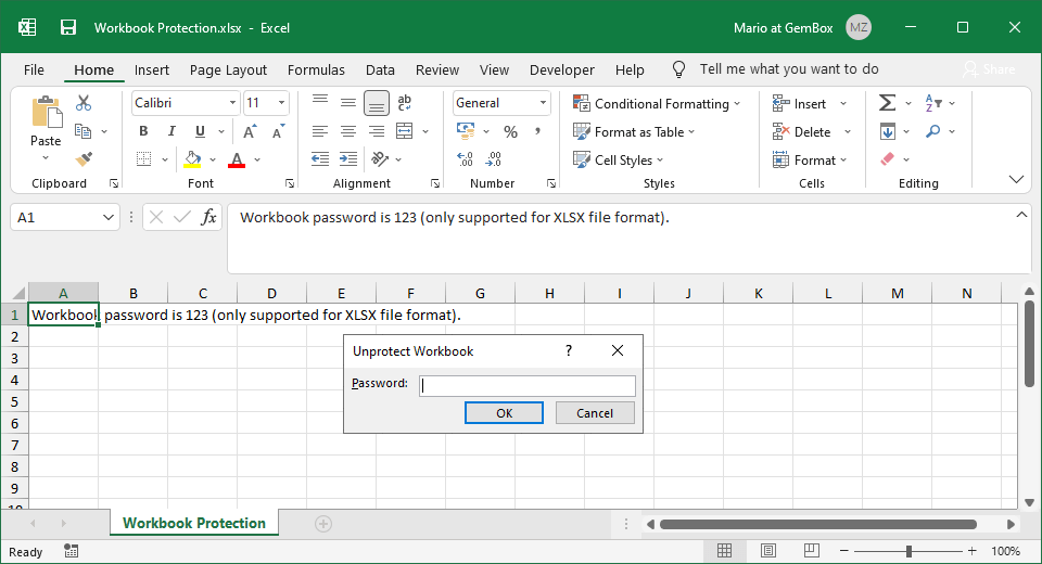 Excel workbook protection